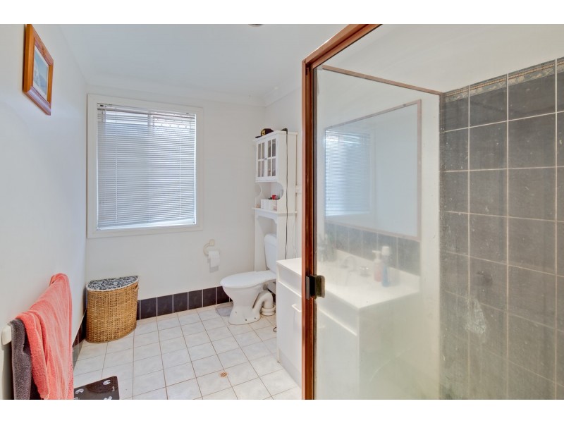 29 Jason Street, Cleveland QLD 4163