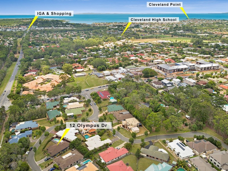 12 Olympus Drive, Cleveland QLD 4163