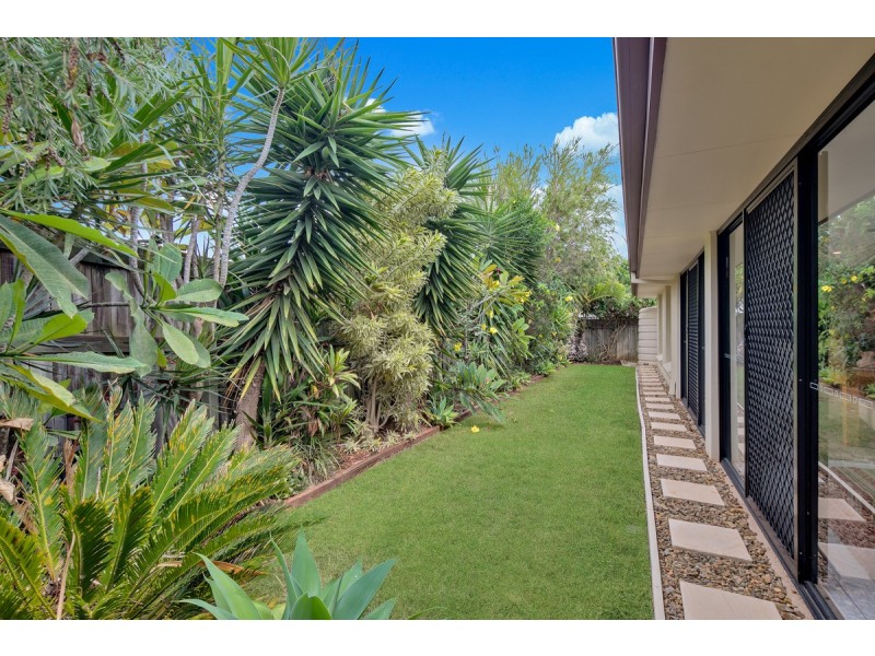 11 Reef Street, Thornlands QLD 4164