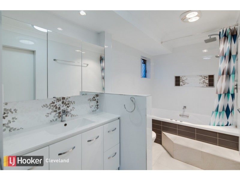 41 Long Street, Cleveland QLD 4163