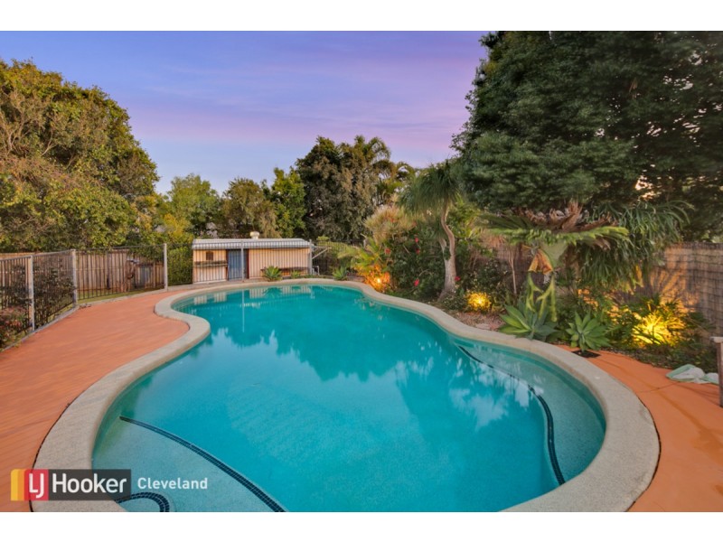 41 Long Street, Cleveland QLD 4163