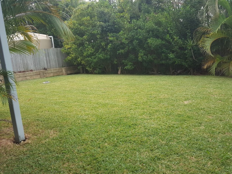 19 George Street, Ormiston QLD 4160