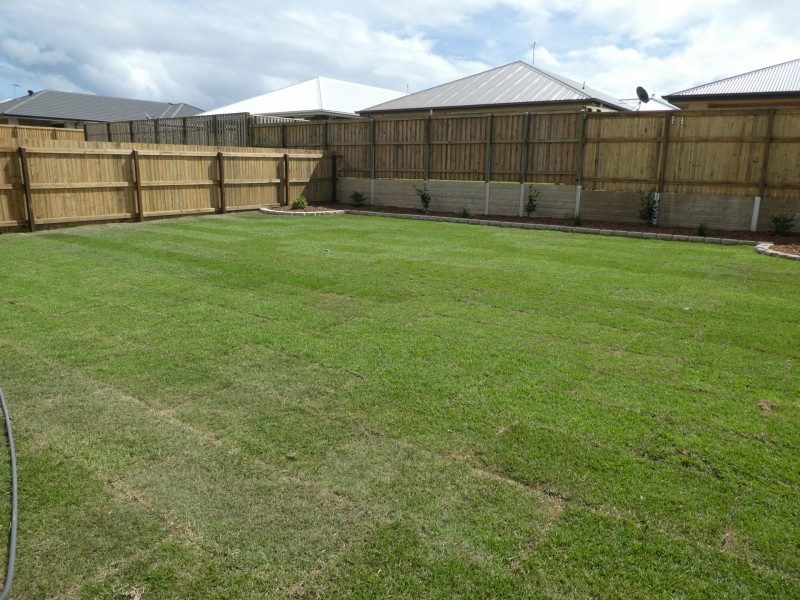 16 Coen St, Thornlands QLD 4164