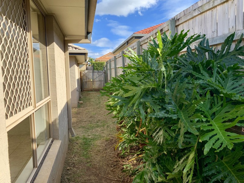 3 Rachel Place, Thornlands QLD 4164