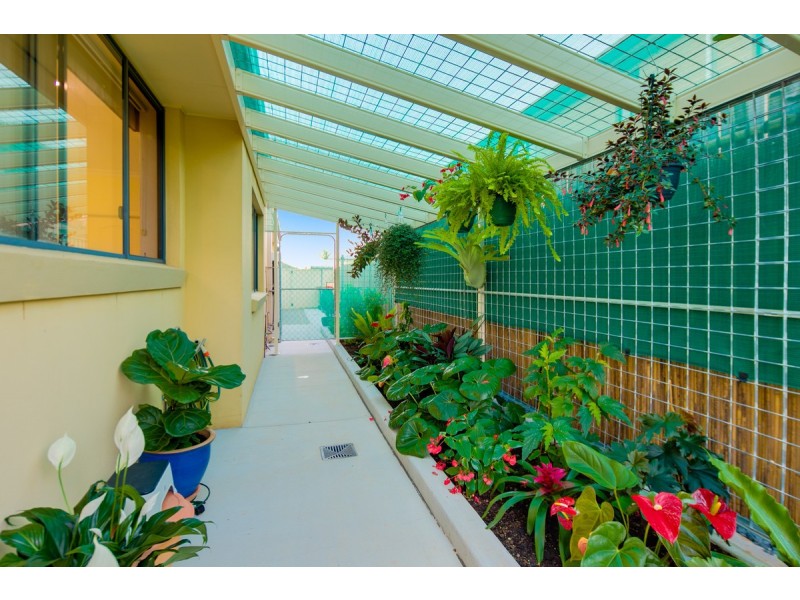 10 White Fig Place, Thornlands QLD 4164