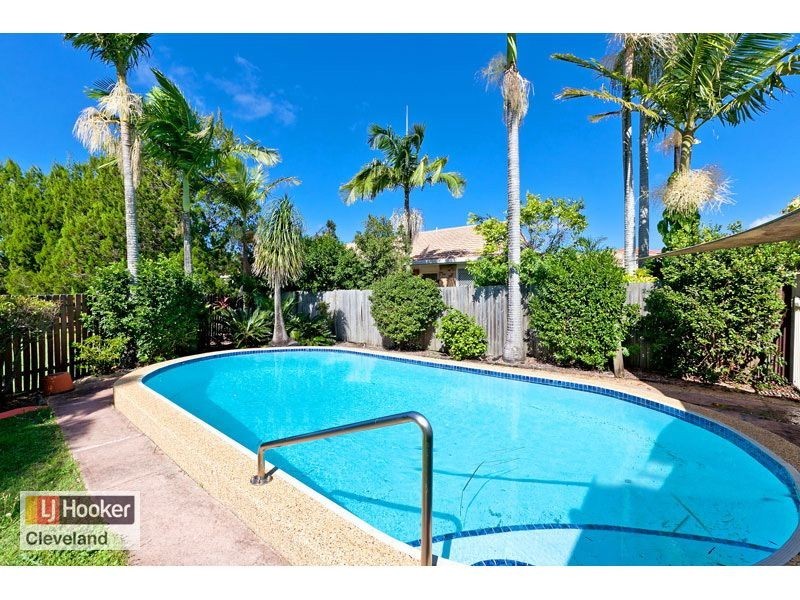 6 Peel Court, Cleveland QLD 4163