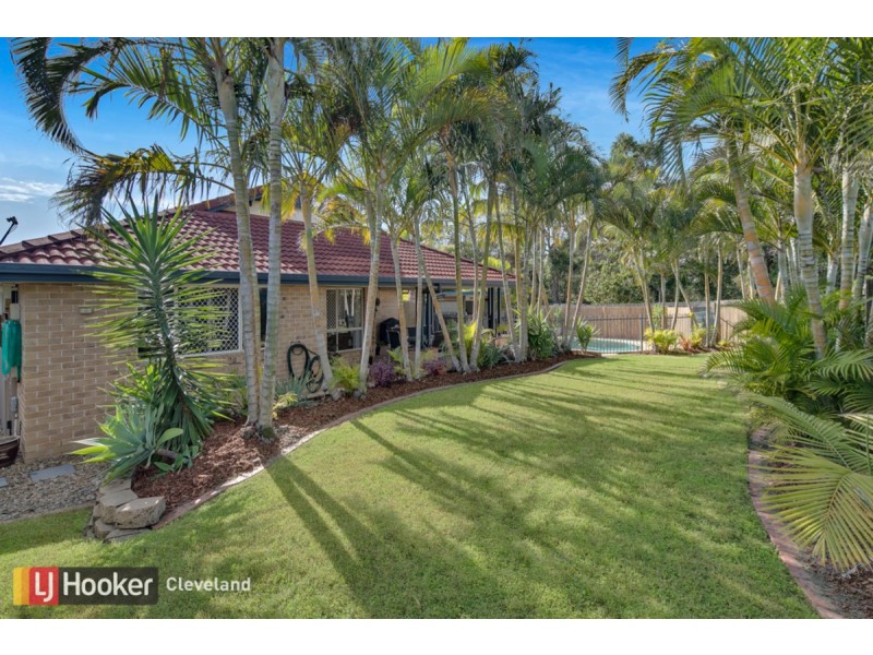 43 McConechy Drive, Victoria Point QLD 4165