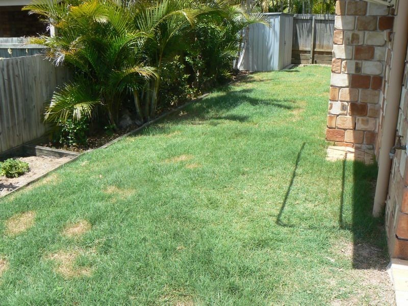 15 Trent Circuit, Alexandra Hills QLD 4161