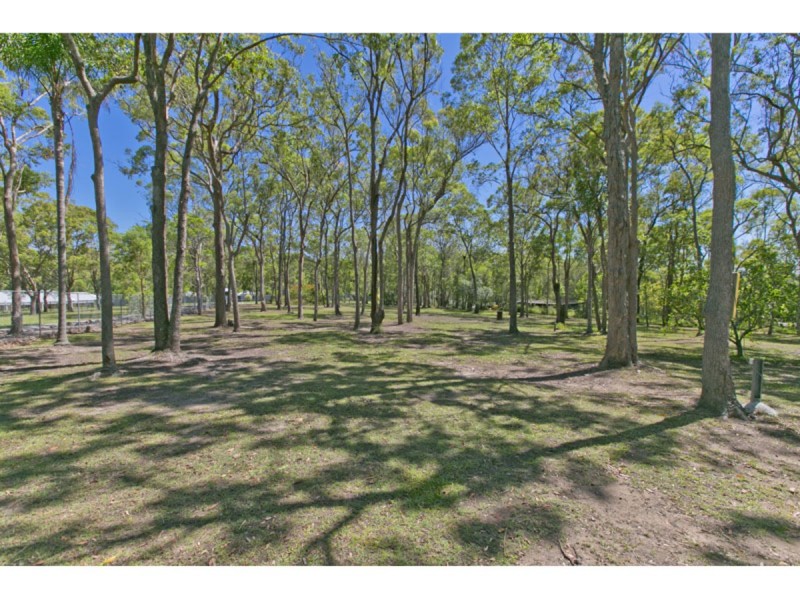 86 Charleton Street, Chandler QLD 4155