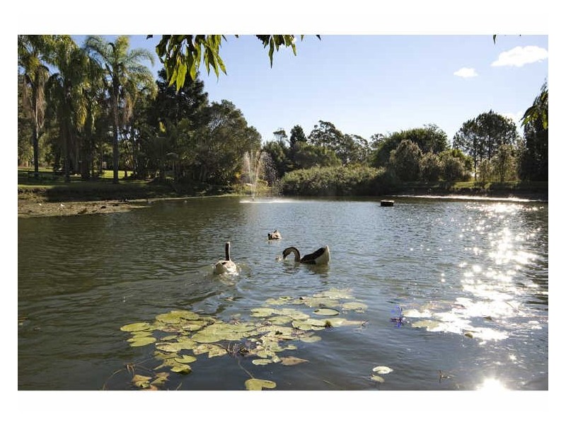 84 Kinross Road, Thornlands QLD 4164