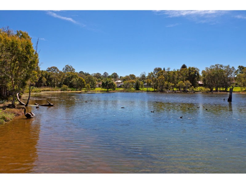 16 Shiraz Street, Thornlands QLD 4164