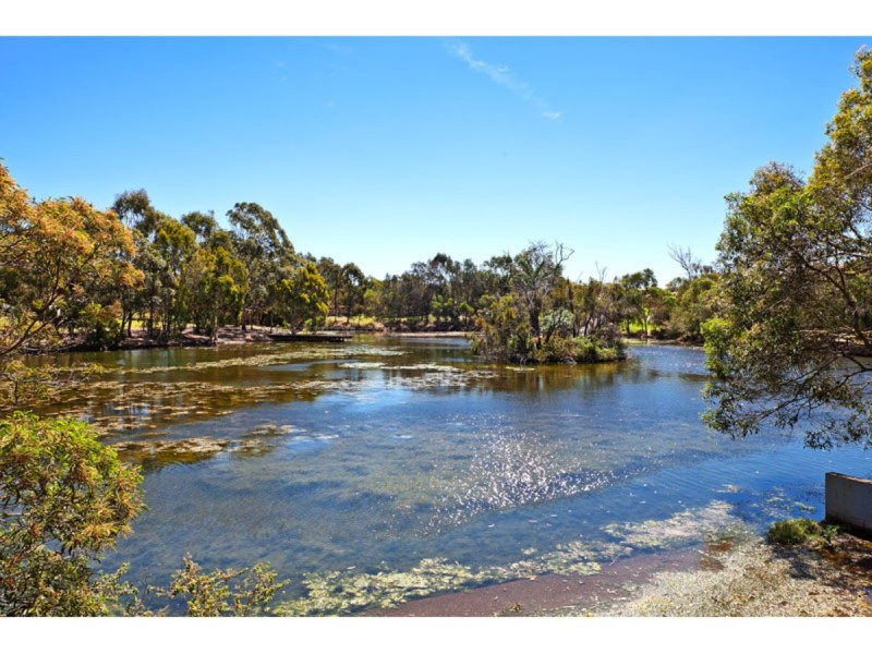 16 Shiraz Street, Thornlands QLD 4164