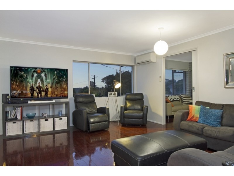 62 Channel Street, Cleveland QLD 4163