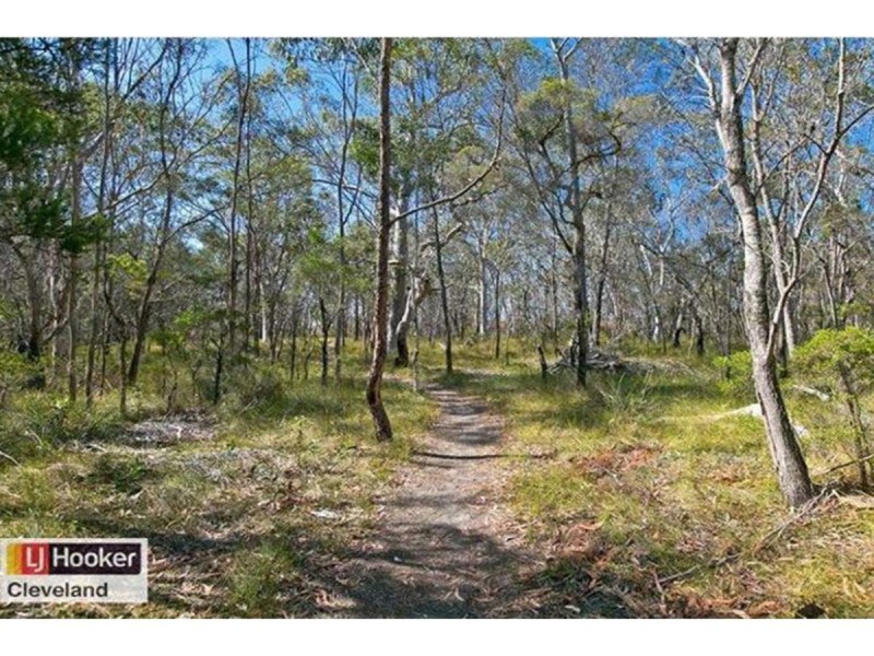 2 Pannosa Court, Capalaba QLD 4157