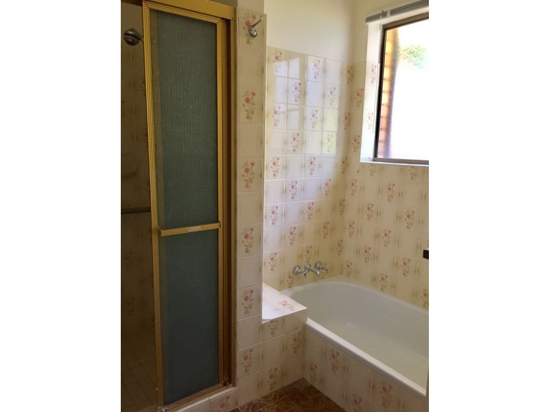 17A Tarcutta Street, Cleveland QLD 4163