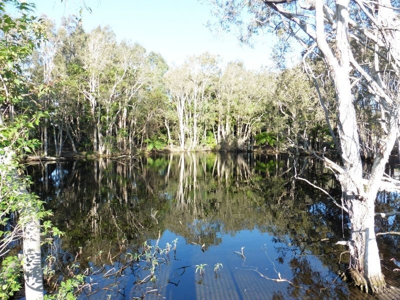 22 Vedson Street, Birkdale QLD 4159