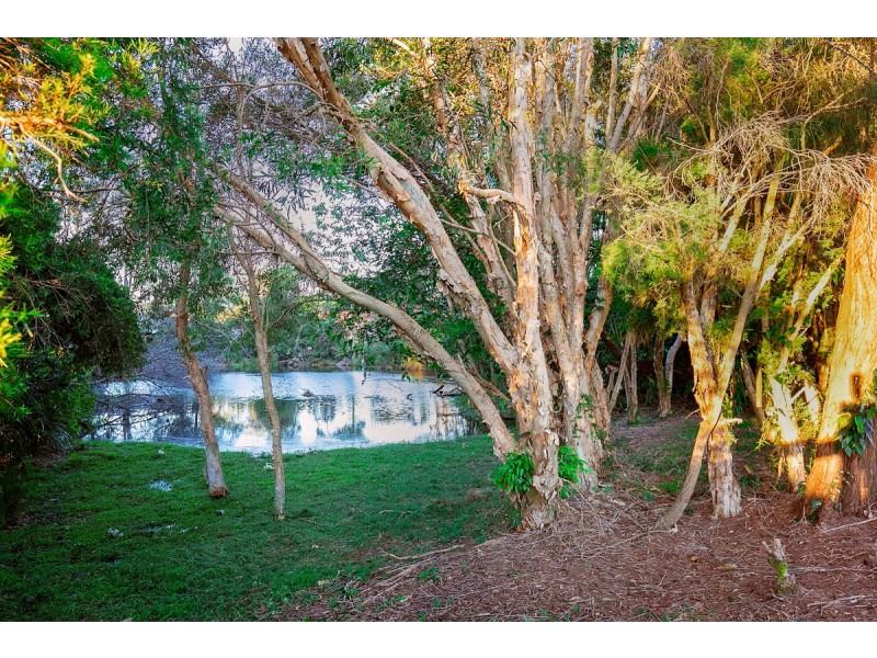 8 Sailfish Avenue, Birkdale QLD 4159