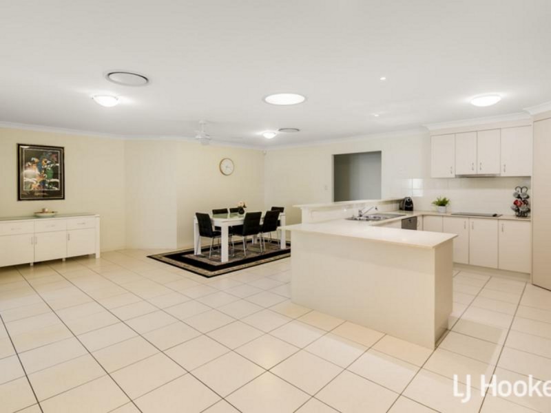 20 Ronnie Street, Cleveland QLD 4163