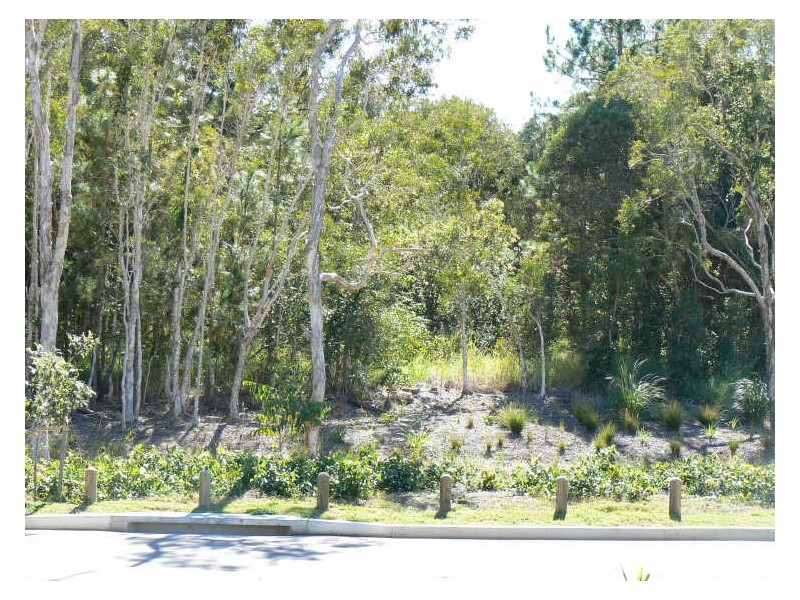 12 Jabiru Place, Cleveland QLD 4163