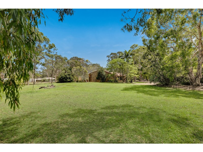 12 Megan Court, Thornlands QLD 4164
