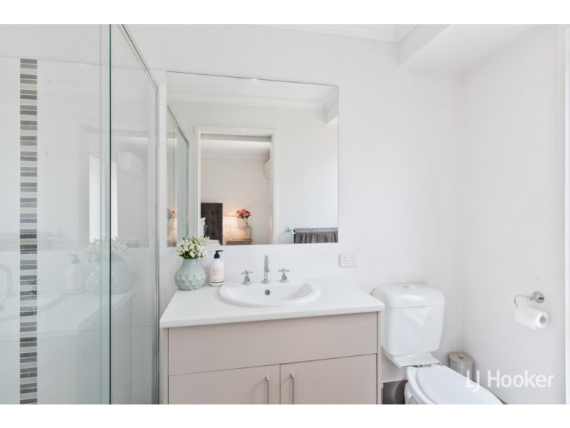 10 Clive Road, Birkdale QLD 4159