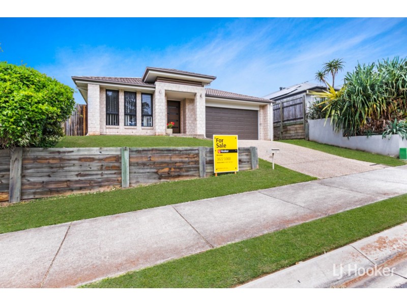 10 Clive Road, Birkdale QLD 4159