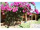 23 Mergowie Drive, Cleveland QLD 4163
