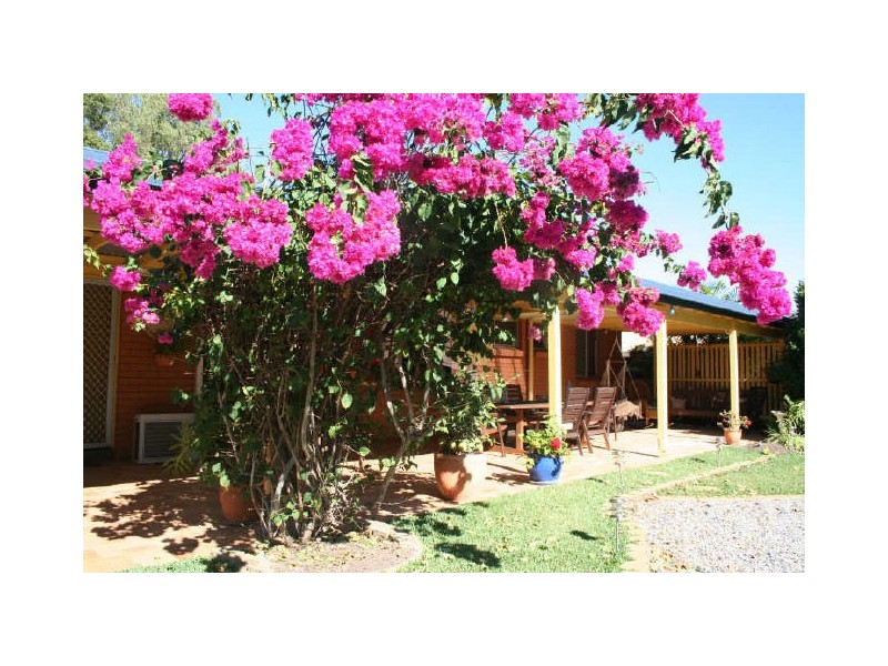 23 Mergowie Drive, Cleveland QLD 4163