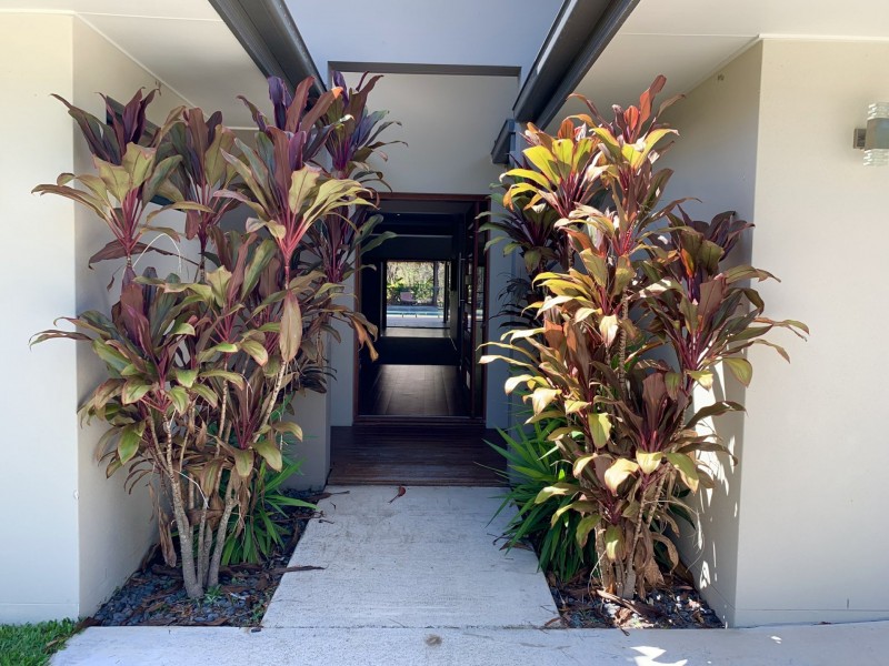 3 Megan Court, Thornlands QLD 4164