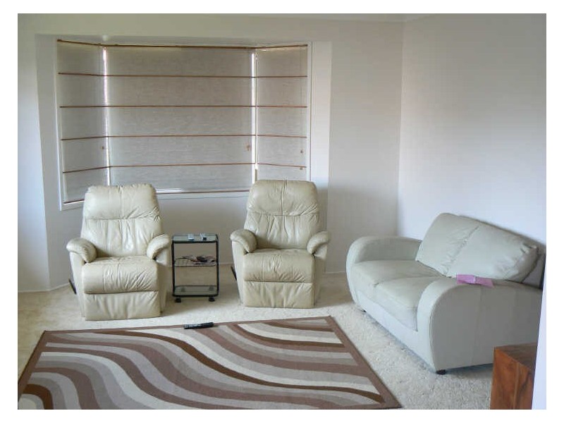 20 Dell Street, Cleveland QLD 4163