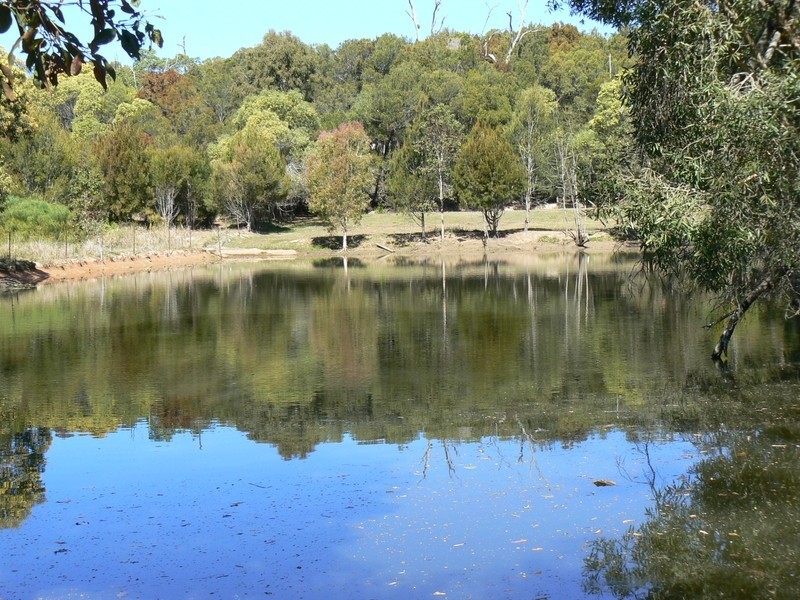 103 Boundary Road, Thornlands QLD 4164