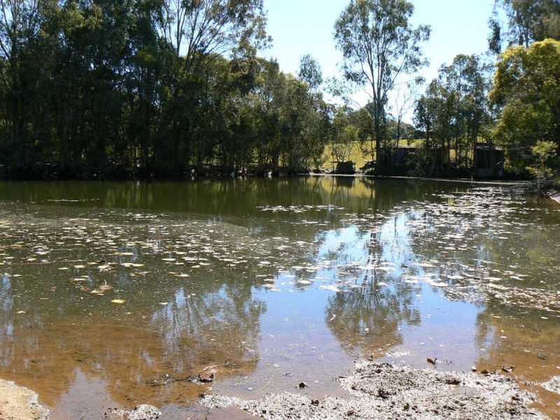 103 Boundary Road, Thornlands QLD 4164