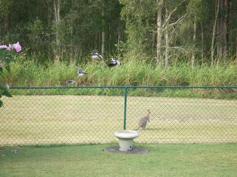 139 Orchid Drive, Mount Cotton QLD 4165