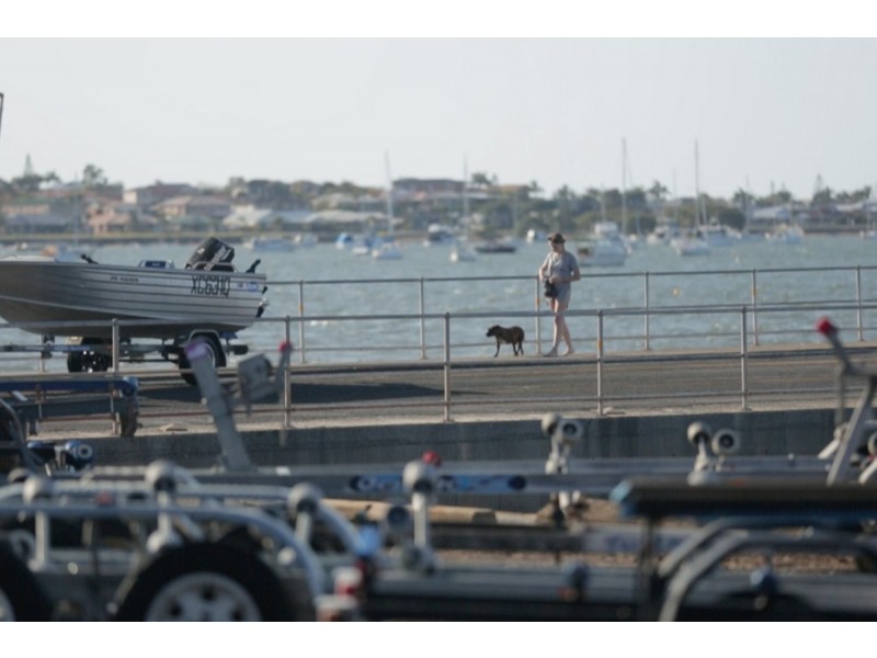 41 Fir Street, Victoria Point QLD 4165