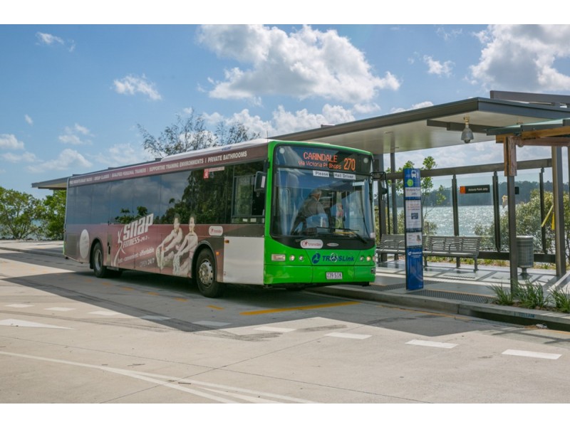 41 Fir Street, Victoria Point QLD 4165