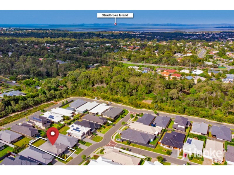 14 Davenport Street, Thornlands QLD 4164