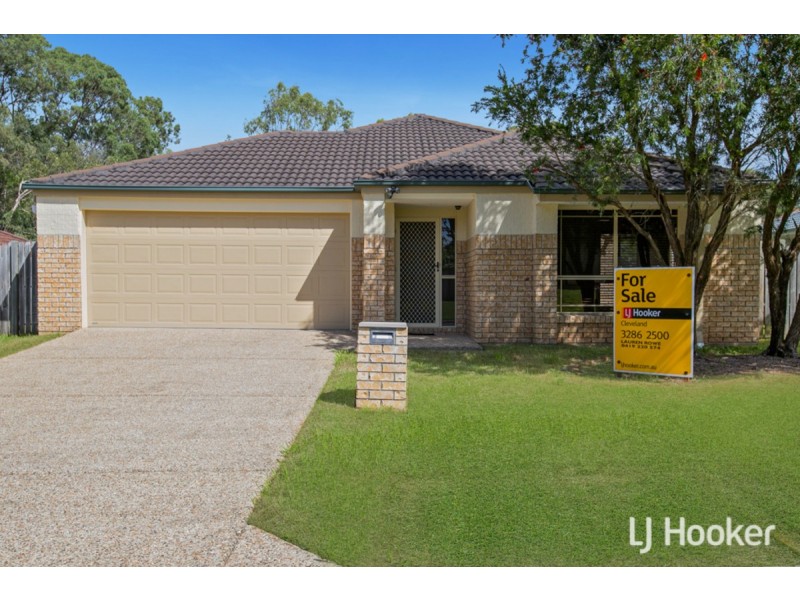 24 Adam Street, Cleveland QLD 4163