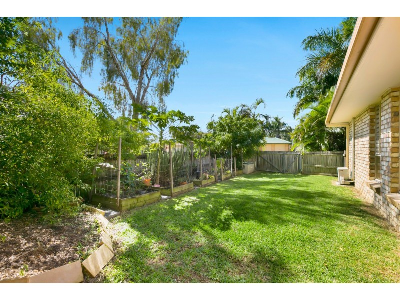 9 Bauhinia Street, Birkdale QLD 4159