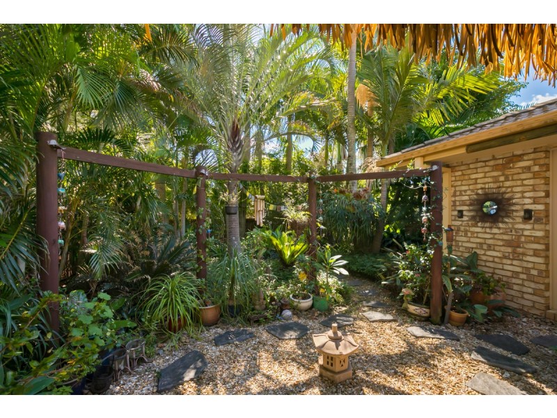 9 Bauhinia Street, Birkdale QLD 4159