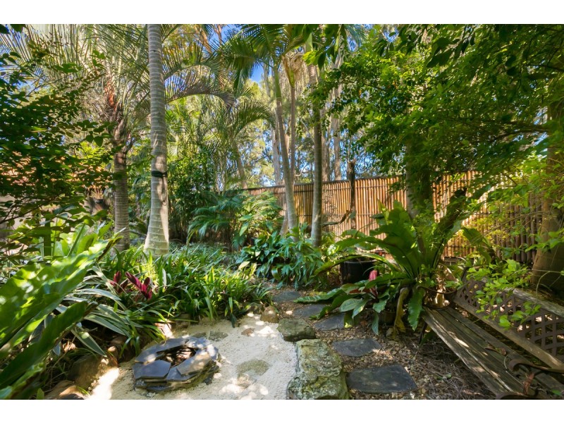 9 Bauhinia Street, Birkdale QLD 4159