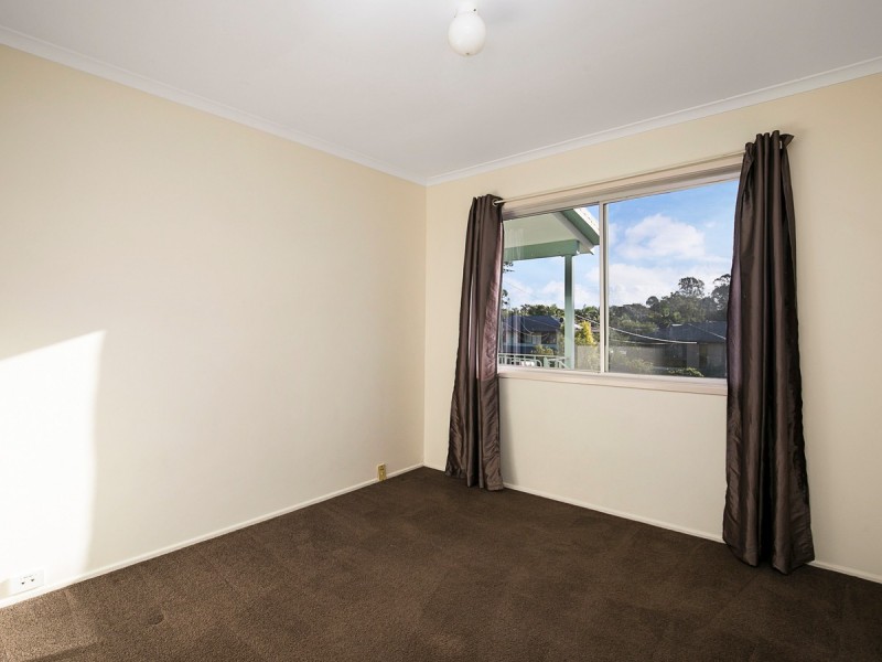 25 Parakeet Street, Birkdale QLD 4159