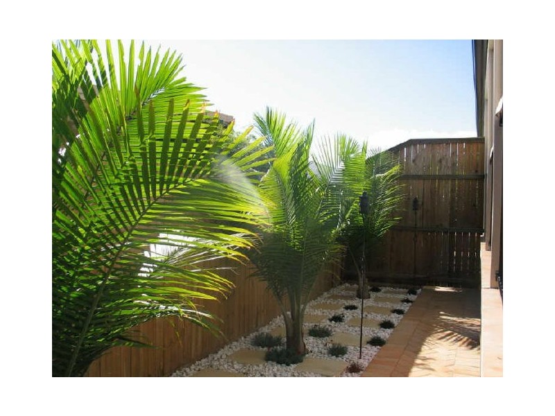 2/52 Russell Street, Cleveland QLD 4163