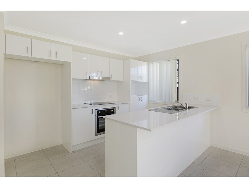 10 Nottinghill Street, Birkdale QLD 4159