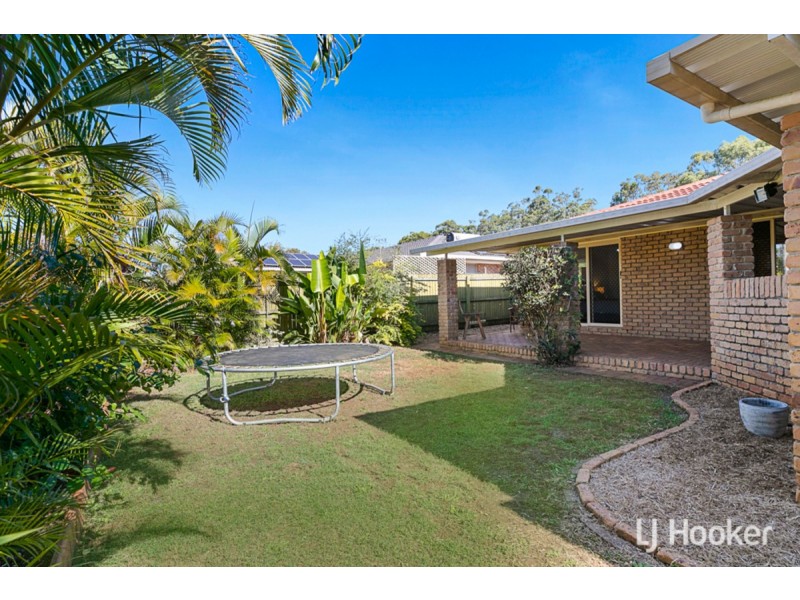 10 Lowrie Court, Cleveland QLD 4163