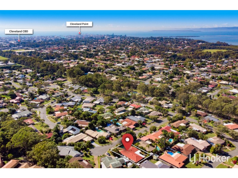 10 Lowrie Court, Cleveland QLD 4163