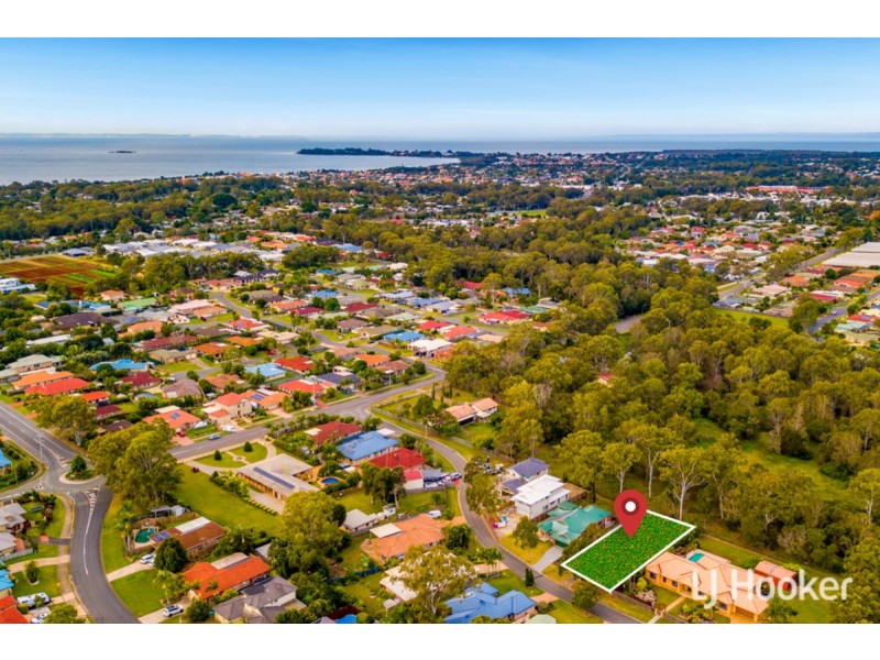 16 Mecoli Court, Birkdale QLD 4159