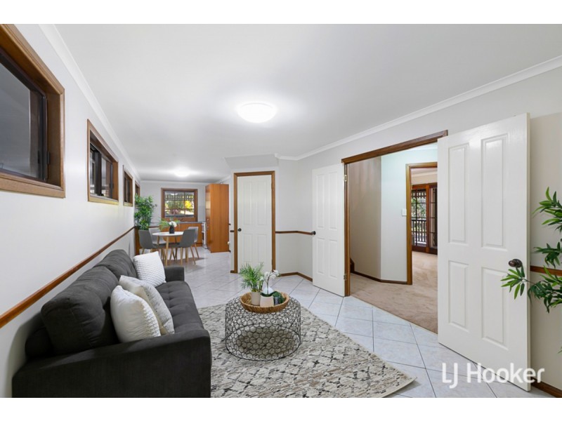 14 Parkwood Drive, Capalaba QLD 4157