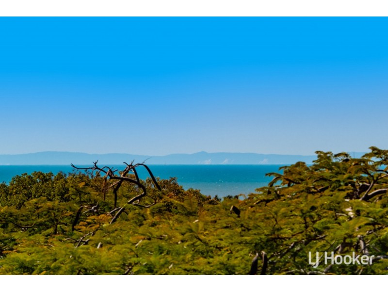 64 Wellesley Street, Wellington Point QLD 4160