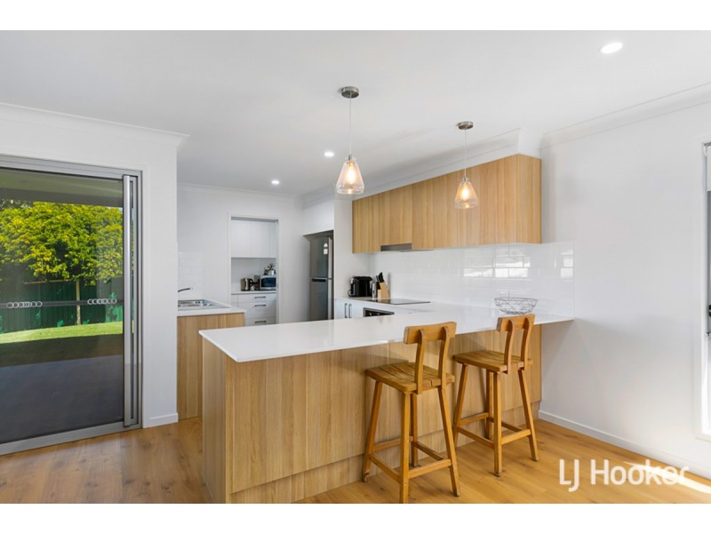 4 Nicole Street, Cleveland QLD 4163