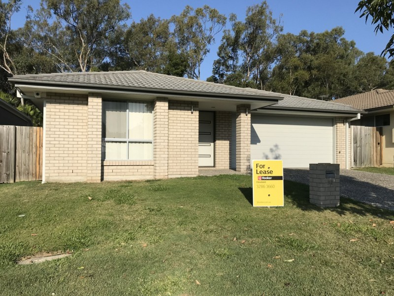 32 Riley Peter Place, Cleveland QLD 4163